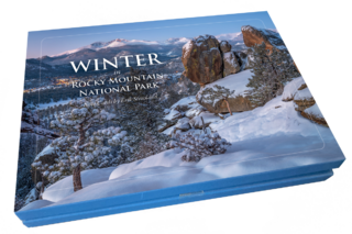 Winter Note Cards