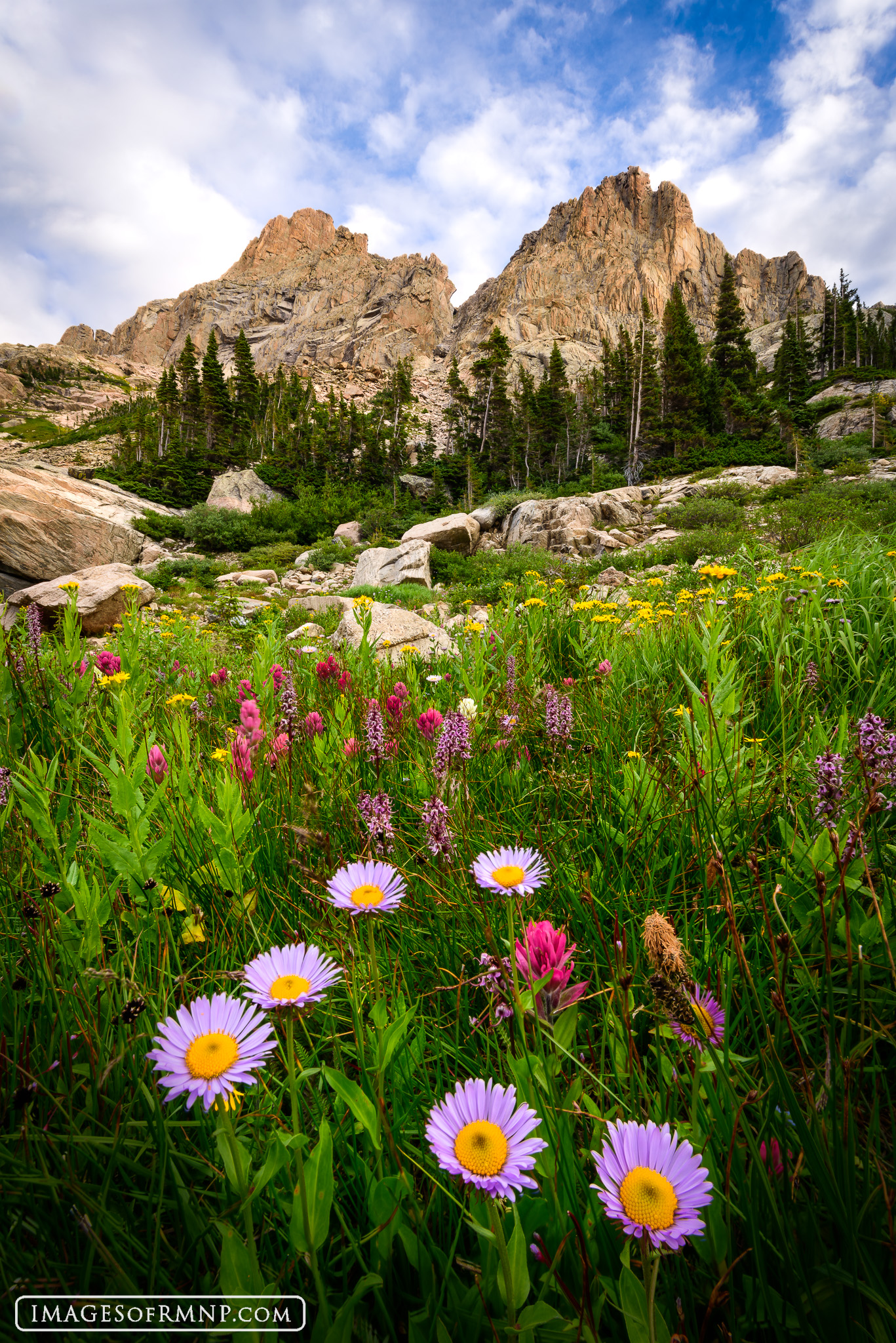 Take it Slowly For more information on this image and for purchasing options, please visit the Images of RMNP website or call the gallery at...