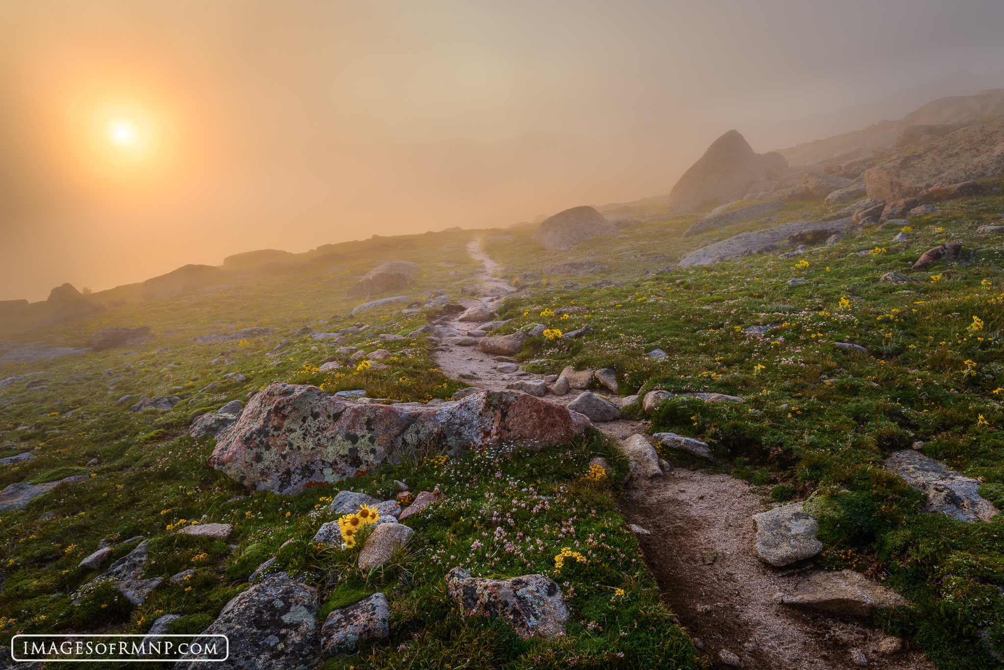 Into the Mystery For more information on this image and for purchasing options, please visit the Images of RMNP website or call the gallery at...