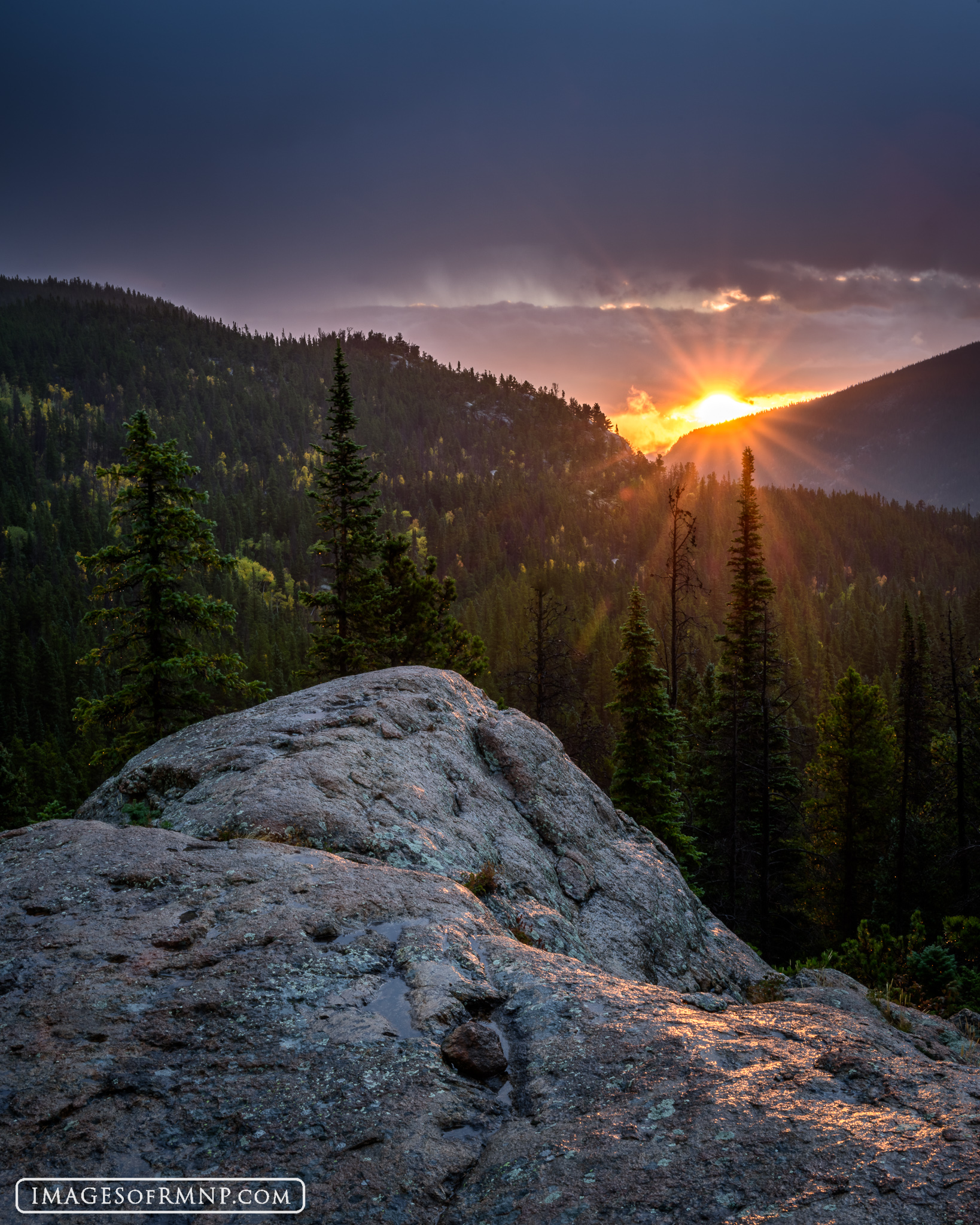 For more information on this image and for purchasing options,please call the Image of RMNP gallery at 970-586-4352.